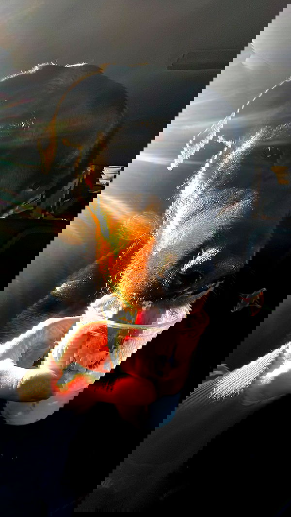 cyberbunniex cyberbunniex archive image