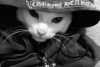 kaniiberry Altpins Profile Picture