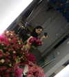 amatveyko Altpins Profile Picture