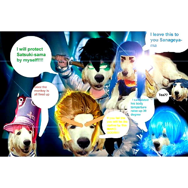muze instagram image archive image