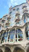 federica.piccinni Altpins Profile Picture