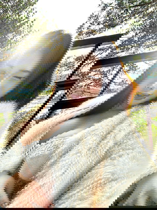 danbbyyy danbbyyy archive image