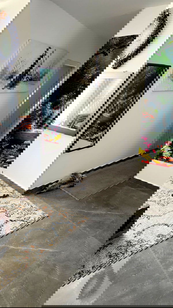 yuri.gever yuri.gever archive image