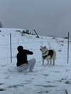 ruth_chavarri Altpins Profile Picture