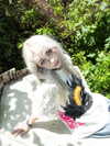 6nattynat9 Altpins Profile Picture