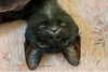 ge.more_x Altpins Profile Picture
