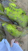 dollyemi Altpins Profile Picture