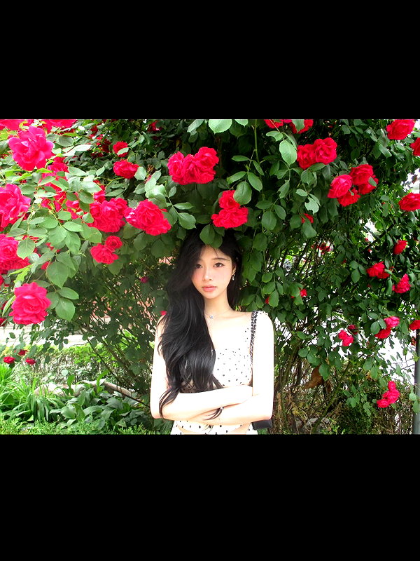 tgiangya instagram image archive image