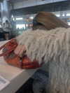 0nlygrlinthewrld Altpins Profile Picture