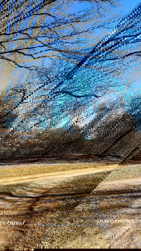 biton__adi biton__adi archive image