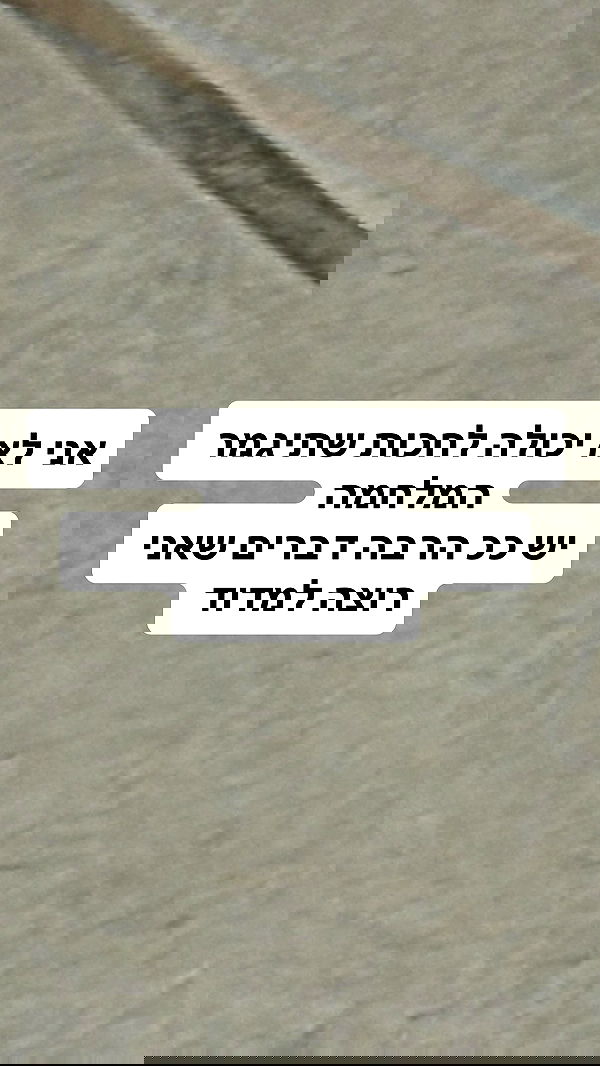 shelly_.mor shelly_.mor archive image