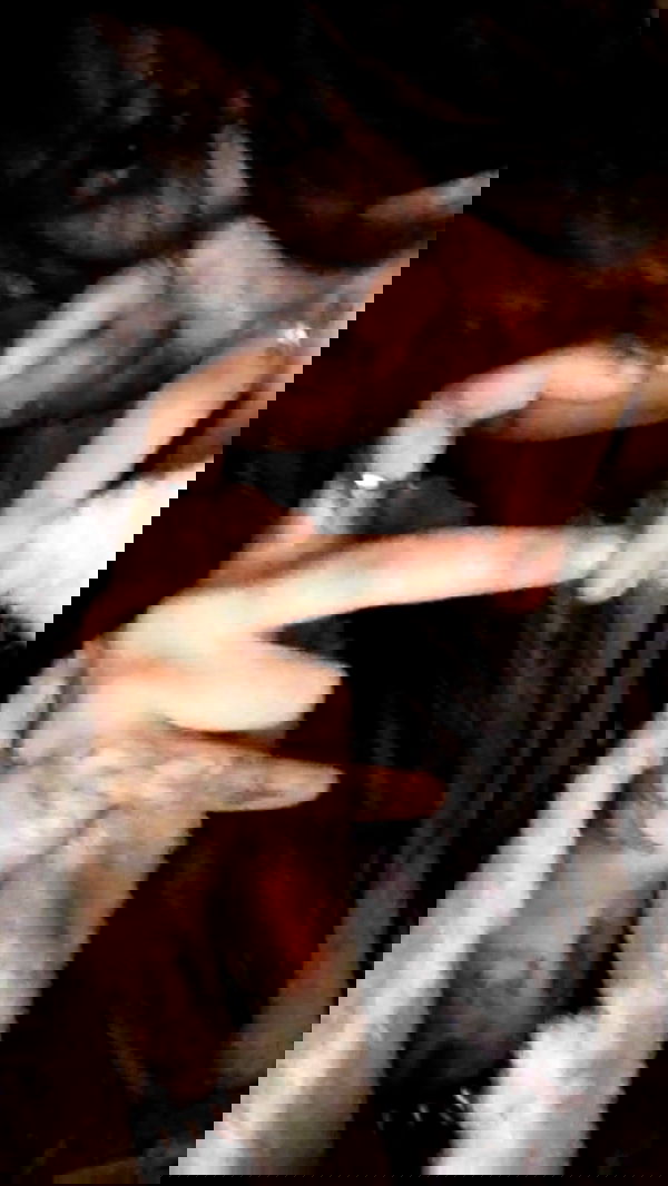 zommmbri zommmbri archive image