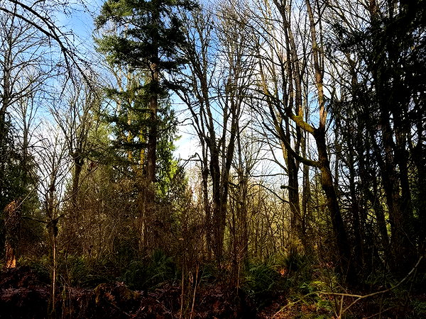 cialikechia instagram image archive image