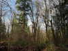 cialikechia Altpins Profile Picture
