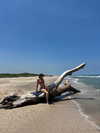 gissell_eli Altpins Profile Picture