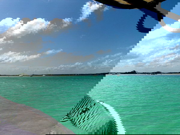 manjolamuriqi manjolamuriqi archive image