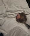 edvarda_ Altpins Profile Picture