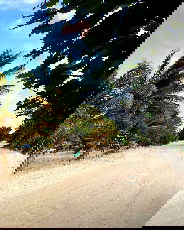 manjolamuriqi manjolamuriqi archive image