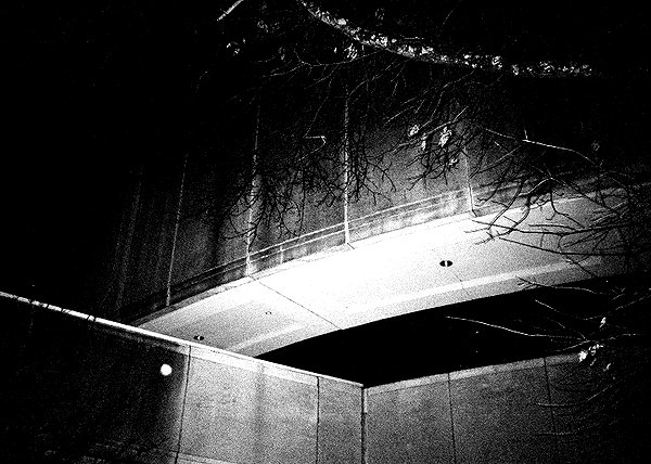 bugz4brainz instagram image archive image