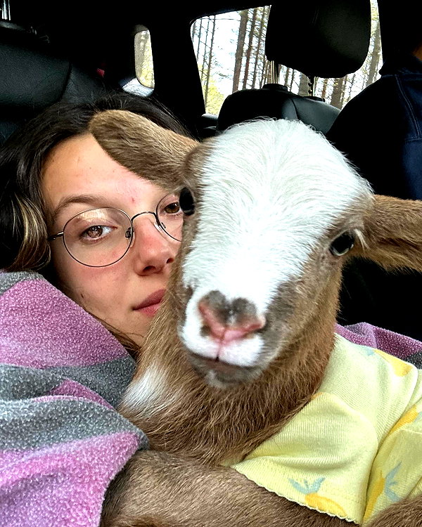 milliebobbybrown instagram image archive image