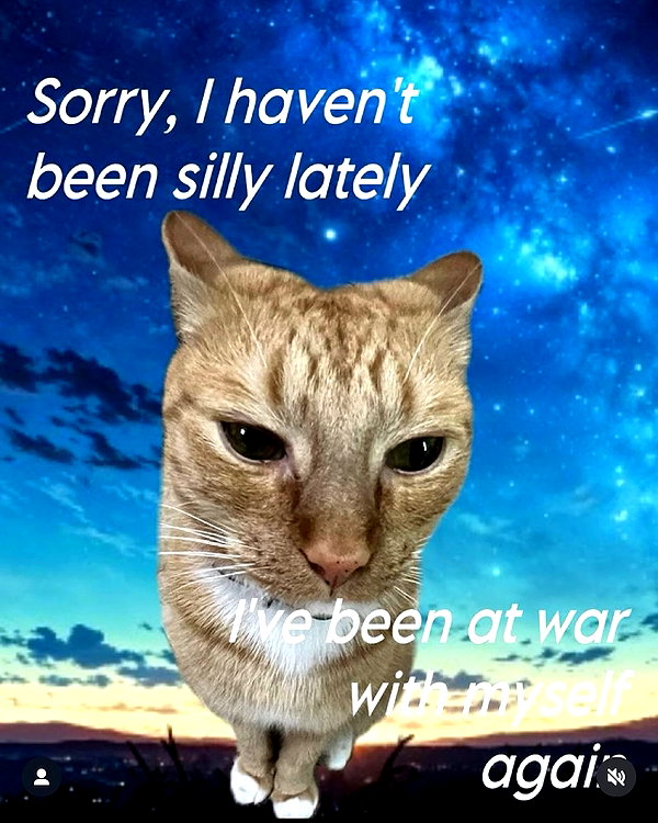 leanbeefpatty instagram image archive image