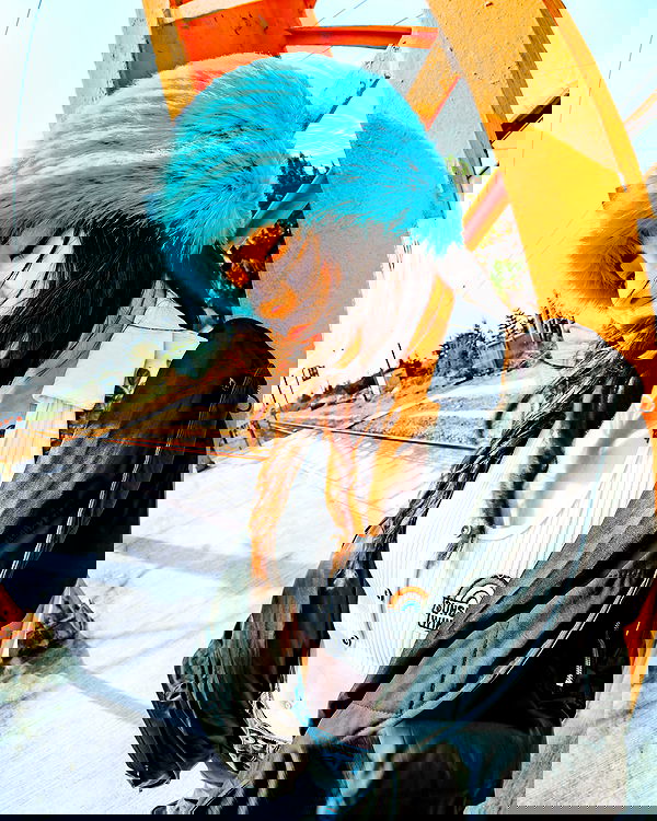 ting851204 ting851204 archive image