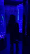 shibari0_0 Altpins Profile Picture