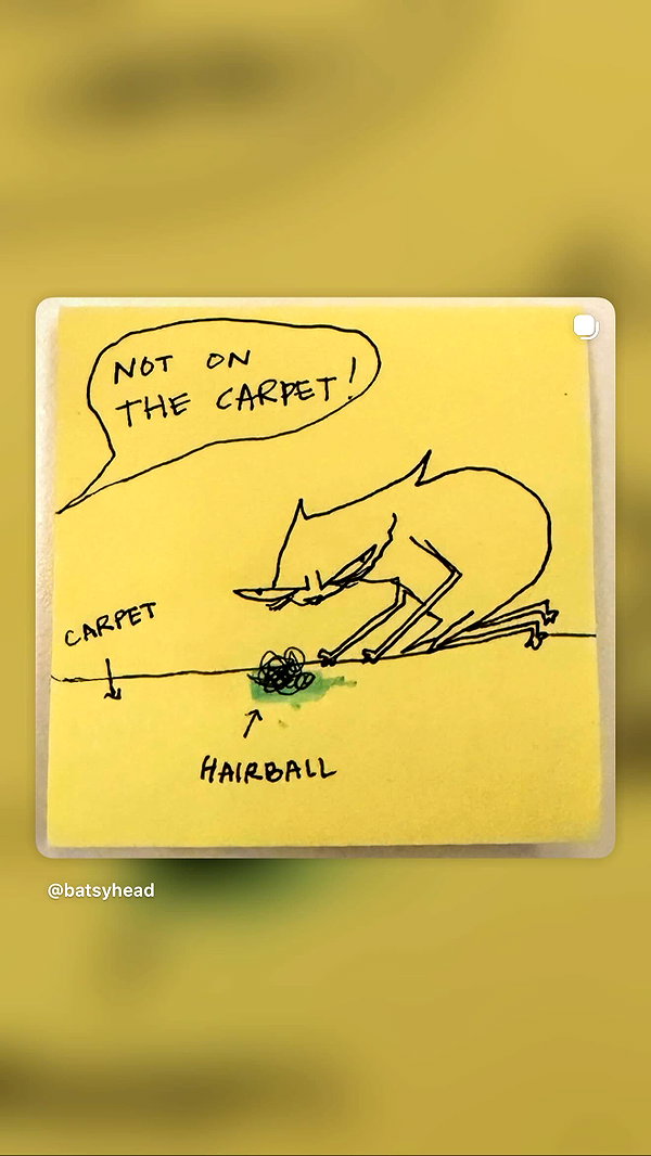 Archived image from @leighbunbun on Instagram