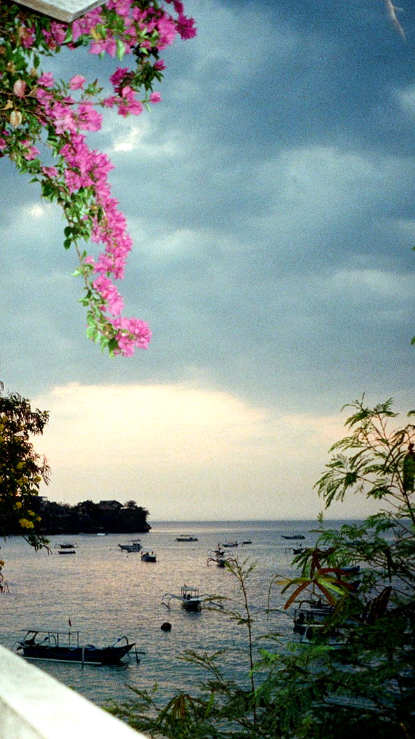 pia__kim archive image