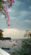 pia__kim Altpins Profile Picture