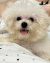 ll.lu1s Altpins Profile Picture