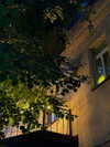 vollkova__ Altpins Profile Picture