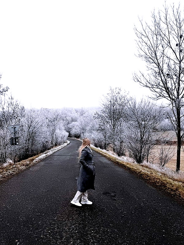 nikolpeleg instagram image archive image