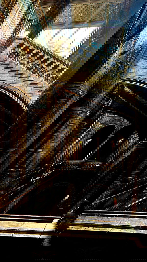 taylor.creeden taylor.creeden archive image