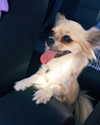 gabbyepstein Altpins Profile Picture