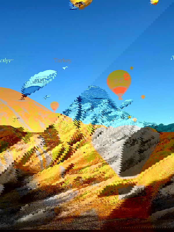 taylor.creeden taylor.creeden archive image