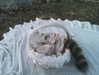 ash.onme Altpins Profile Picture