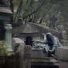 djbabysosh Altpins Profile Picture