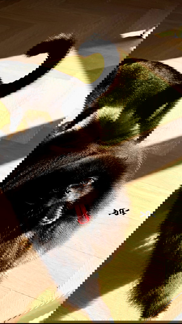 katrina.zaiceva katrina.zaiceva archive image