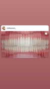 babynympho_archive Altpins Profile Picture