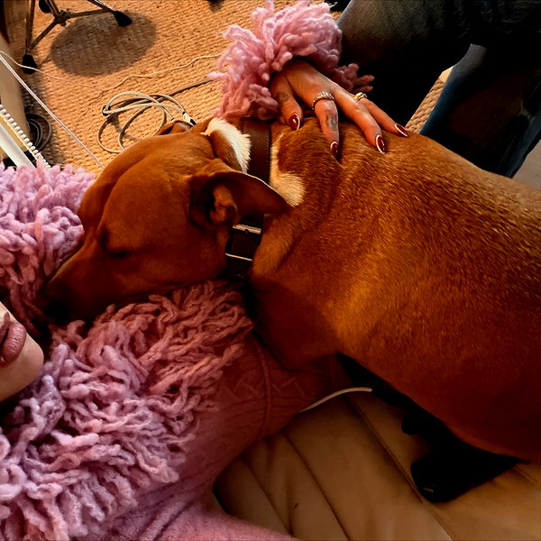dualipa instagram image archive image