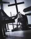 xier_cos Altpins Profile Picture