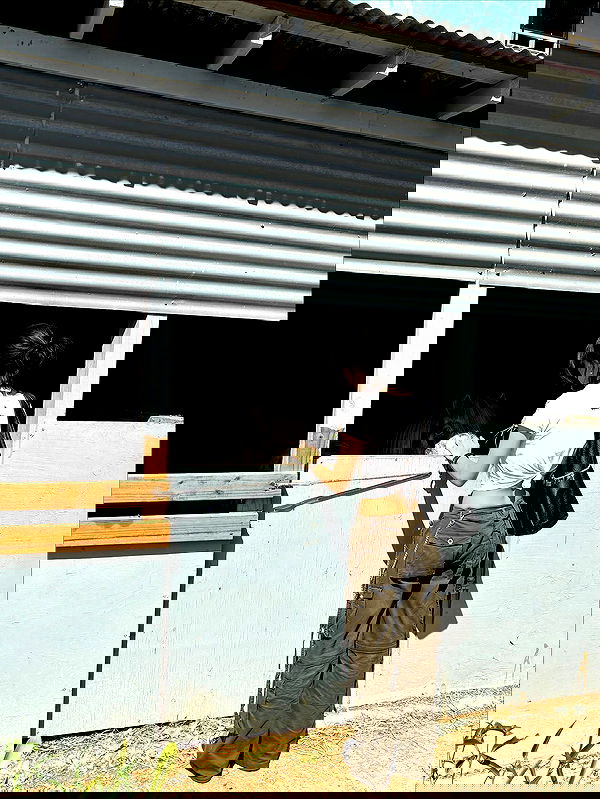 mosssaico mosssaico archive image