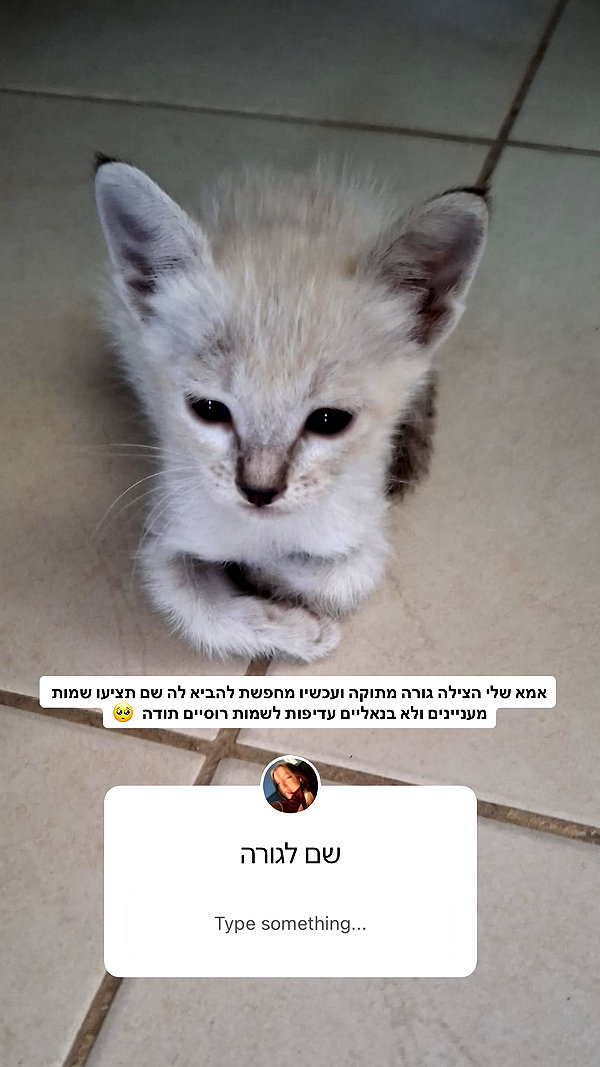 lila.garnik instagram image archive image