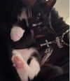 6nattynat9 Altpins Profile Picture