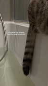 milena_milachich Altpins Profile Picture