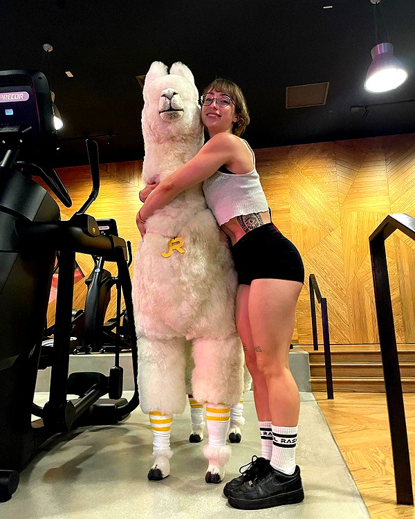 leanbeefpatty instagram image archive image