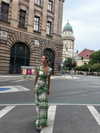 ninastodden Altpins Profile Picture