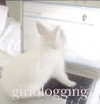 1uvgabi Altpins Profile Picture
