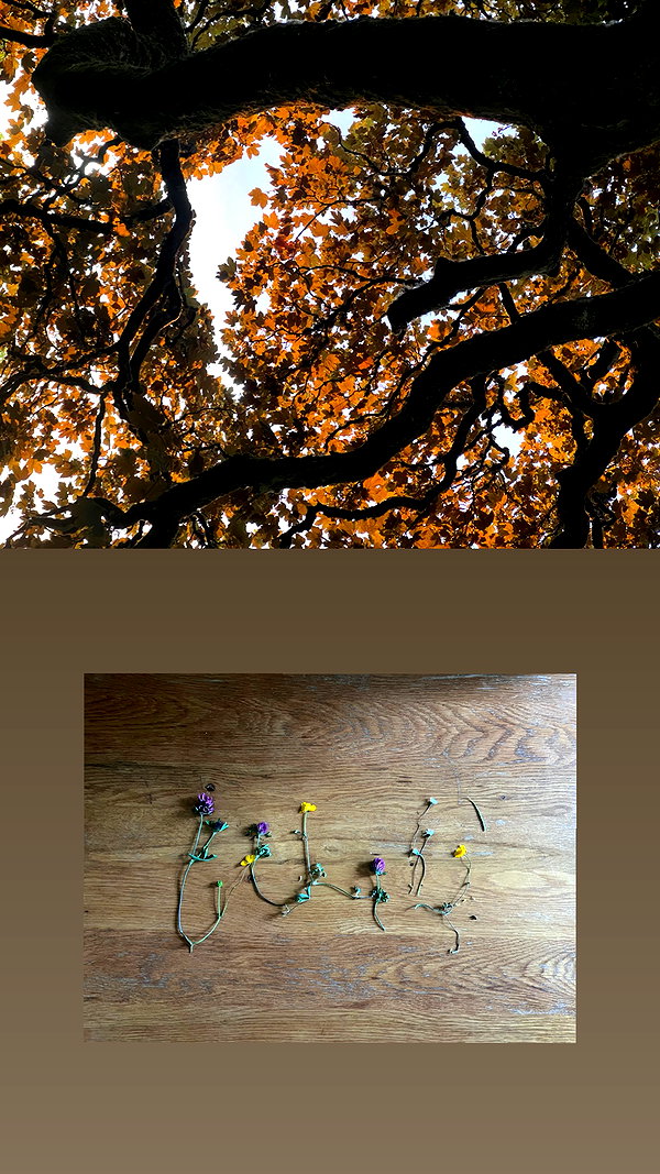 corpema instagram image archive image